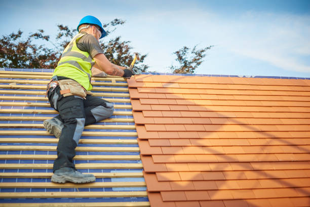 Best Roof Maintenance and Cleaning  in Tryon, NC